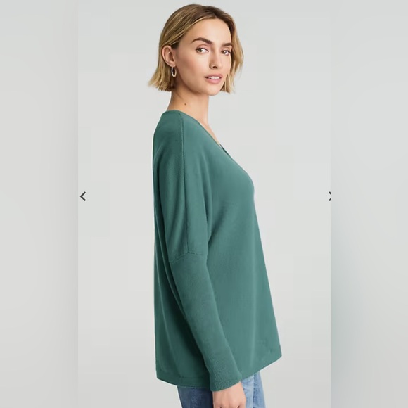 NWT J.Jill Pure Jill Recycled Cashmere V-Neck Sweater - Picture 3 of 9